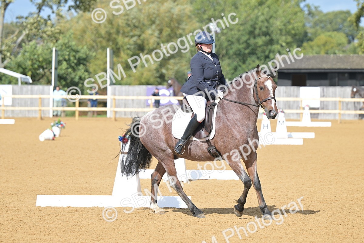 SBM_10945 - D3 - Small Tour Championship Intro 3