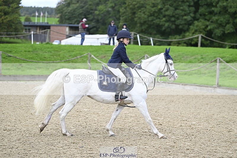 251005A-091118-02976 - Cls 02 GR 50cm