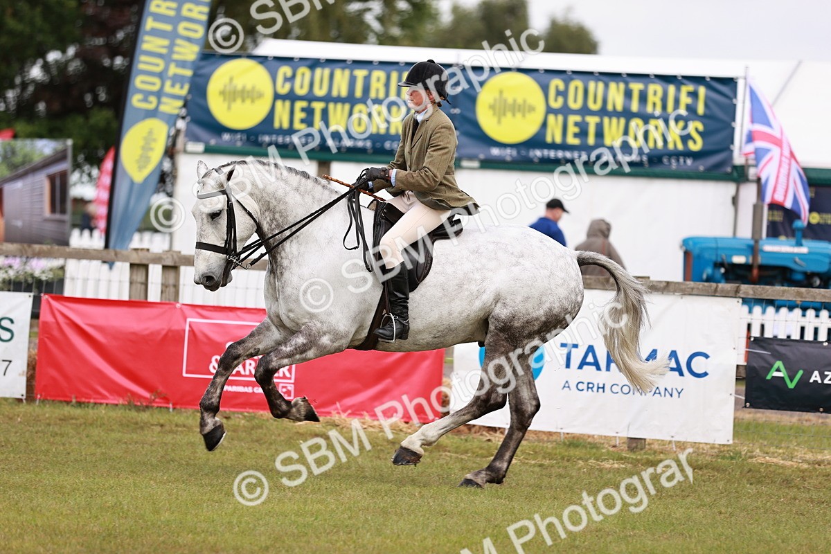 SBM_10782 - Class 81-84 - RIHS Ridden hunters Inc Ladies Hunter