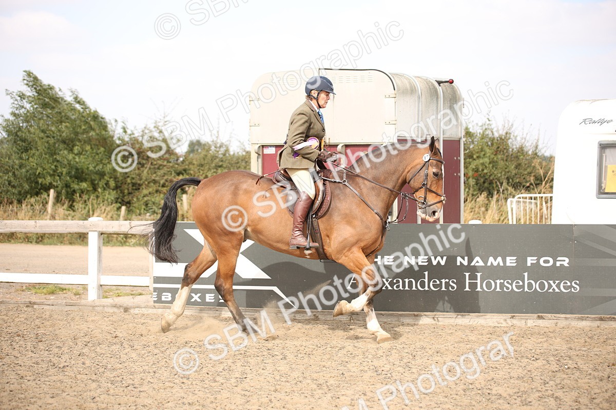 SBM_15083 - Class 408a - Working Veteran 70cm (15-19