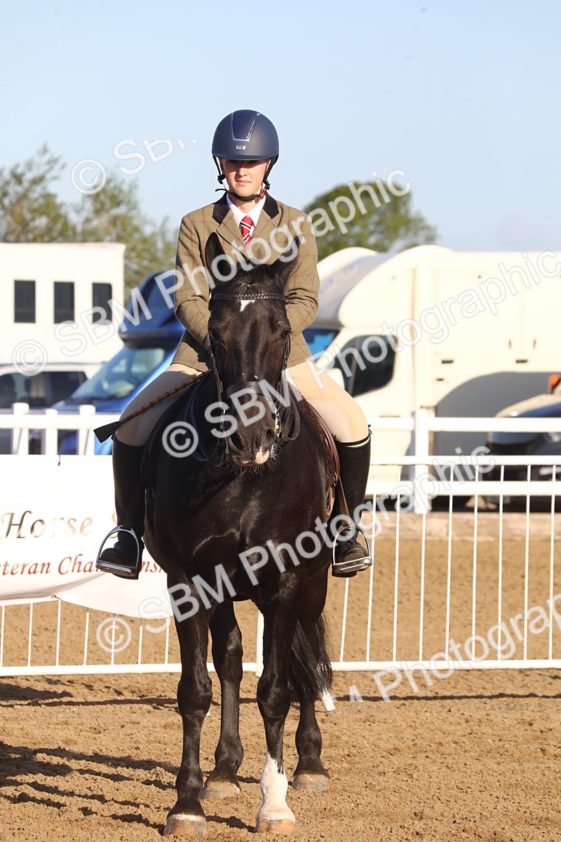 SBM_07887 - Class 501 - Riding Club Pony