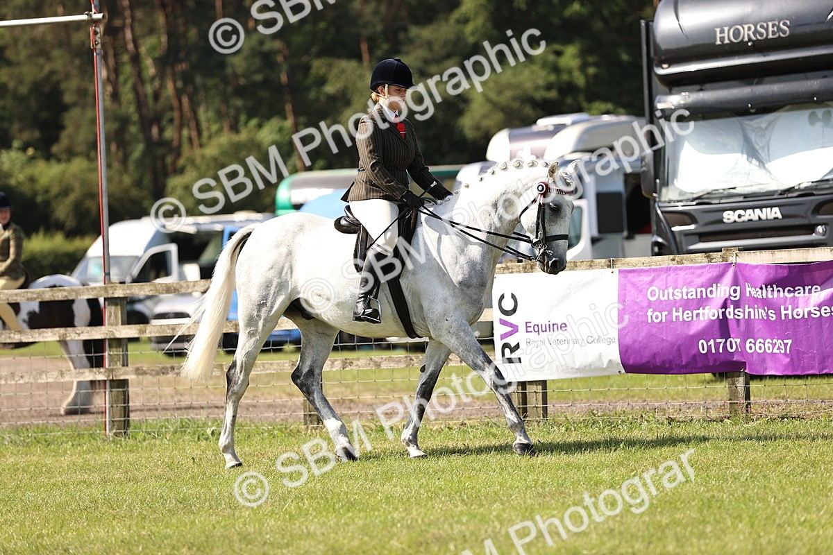 SBM_12883 - Class 75-76 LIHS BSHA Rising Star Hack Riding Horse