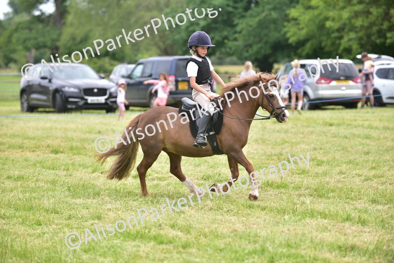 20260614-2686 - Class 13 - Pony Club Pony
