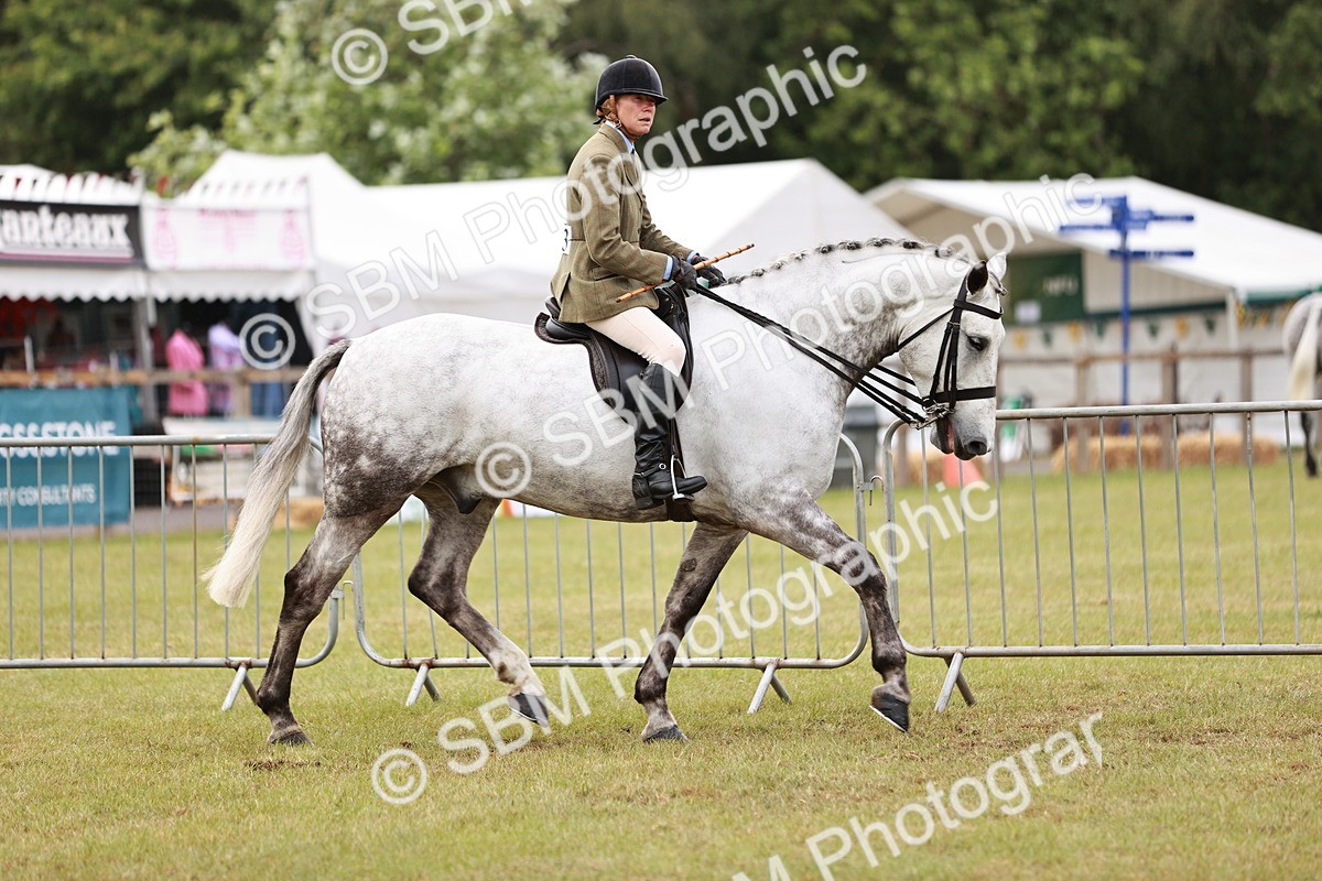 SBM_10756 - Class 81-84 - RIHS Ridden hunters Inc Ladies Hunter