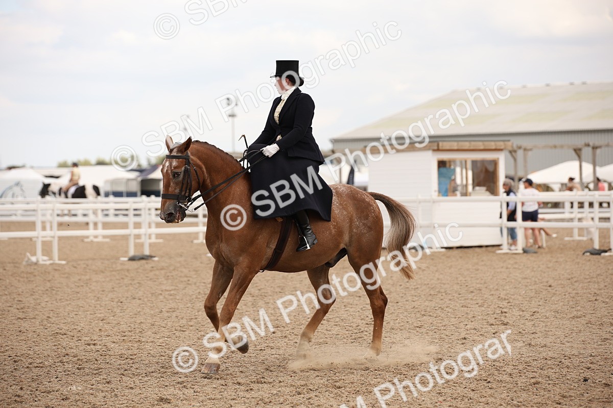 SBM_05380 - Class 22 SSA Equitation