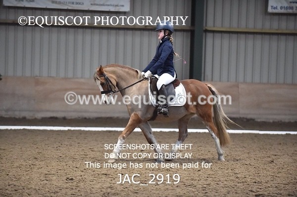 JAC_2919 - CLASS 8 PRELIM 1