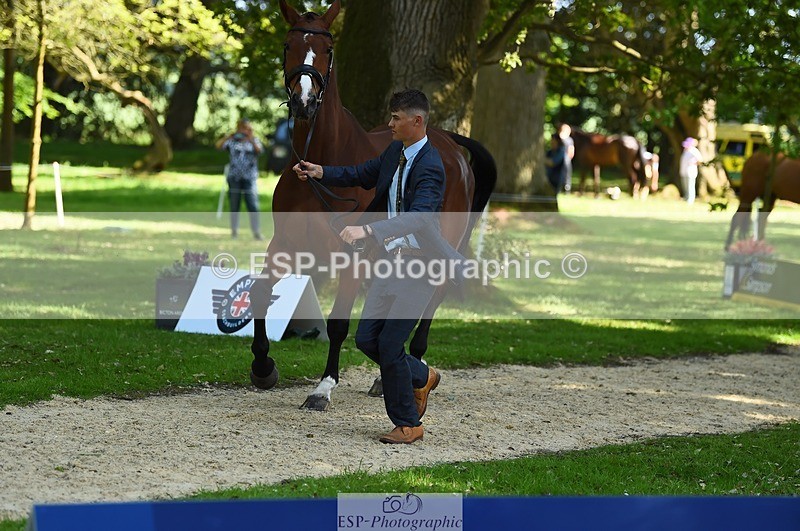 230524-160254-00641 - 201-JAEGER_MASTER-Tom_Woodward-WEDTrotUp+DR