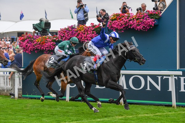 230823-Race 4-Mostahdaf-0598-2 - Race 4 3.35pm Juddmonte International Stakes