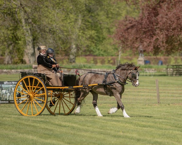 Attelage -741 - CIAT Glamis 2026