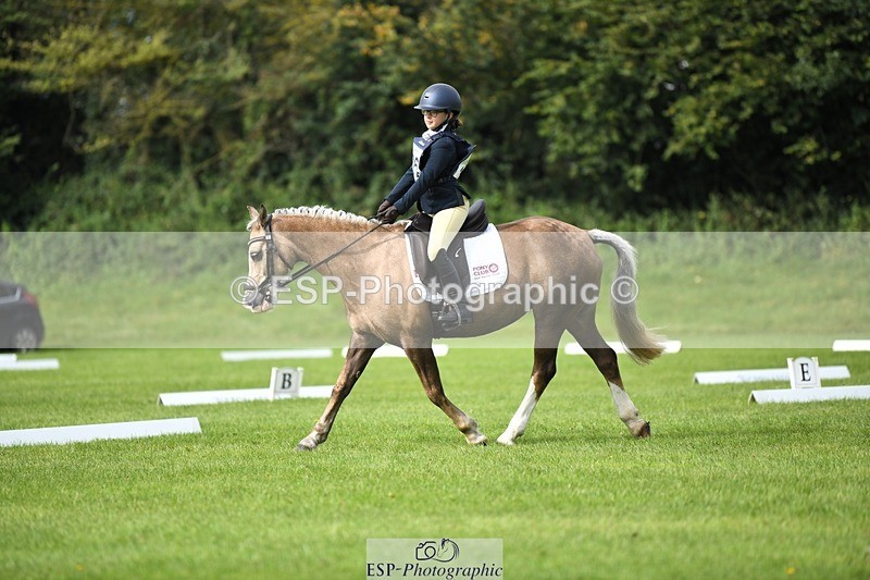 230826-102410-15464 - Sections C & D 10 to End