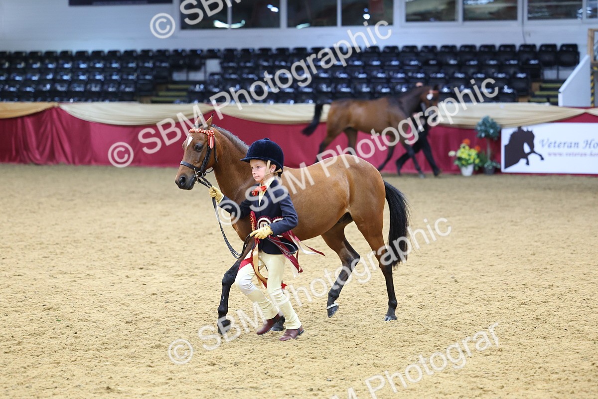 SBM_23047 - Class 903 - Supreme Final - IH Pre Vet