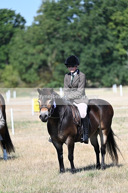 WJ7_4206 - Class 9 Mountain & Moorland Ridden