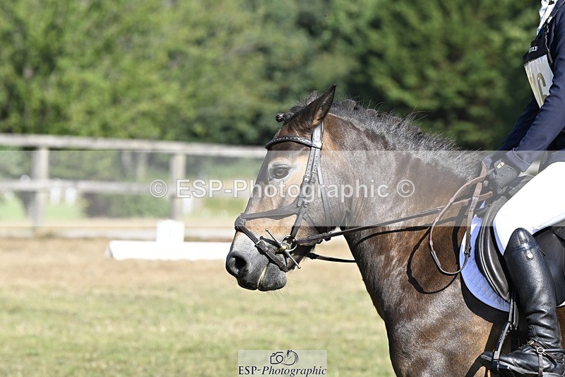 250822A-101417-20181 - DR 10.00 to 11.00