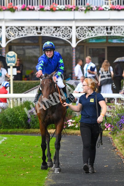 100923-Race 6-Anjo Bonita-1101 - Race 6 4.25pm Hanson Springs 60th Anniversary Handicap at York