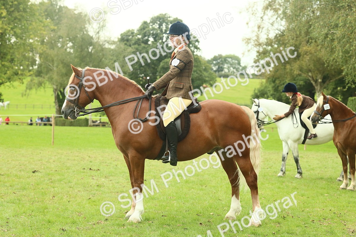SBM_72278 - S60 - Mountain & Moorland Ridden Large Breeds