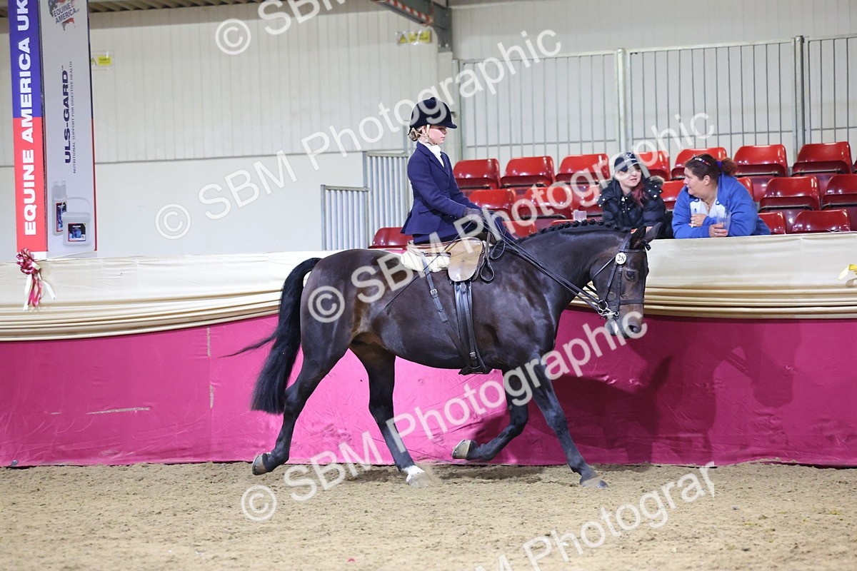 0B8A4229 - Class L Side Saddle Champ