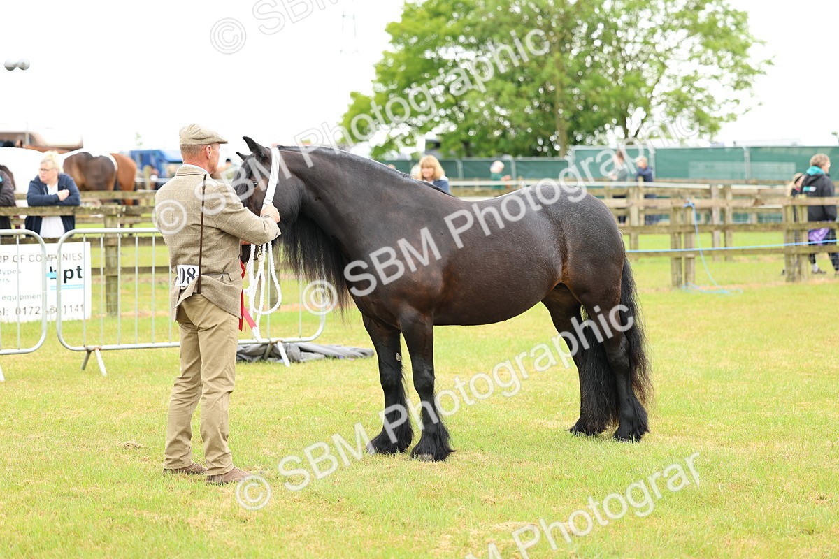 SBM_00564 - Class 58-67 - M&M Non Welsh Pony In hand