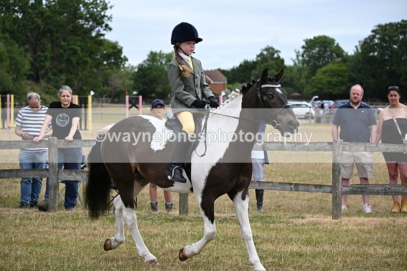WJ6_3895 - Class 9 Tack & Turnout