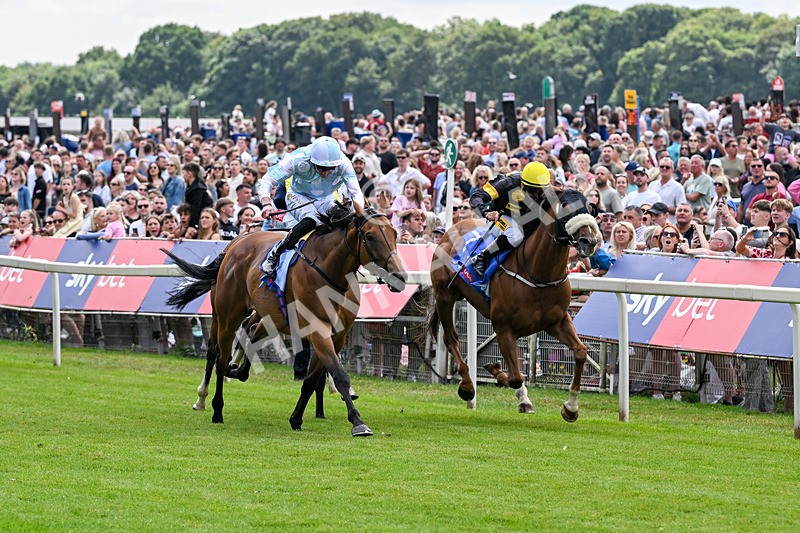 250726-Race 2-Stratusnine-6888 - Race 2 14.00pm Sky Bet Dash