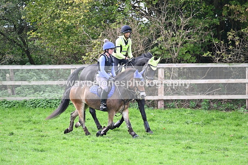 WJ7_8478 - Time 12:12 to 12:37