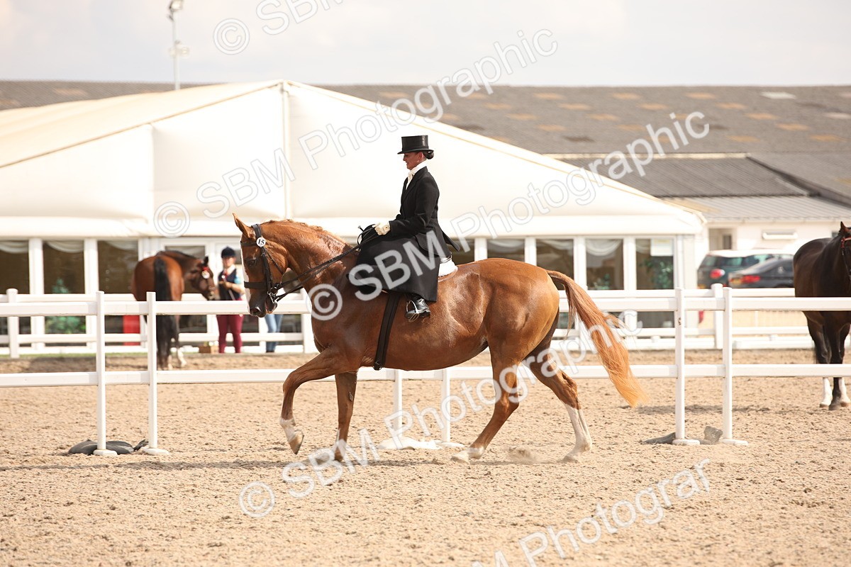 SBM_06733 - Class 24 Concours d'elegance
