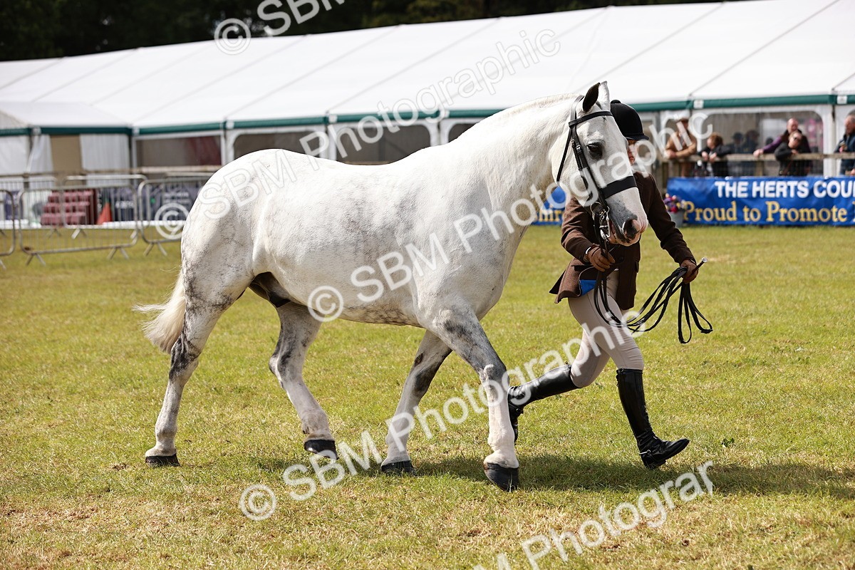 SBM_13138 - Class 85-87 - RIHS Cobs