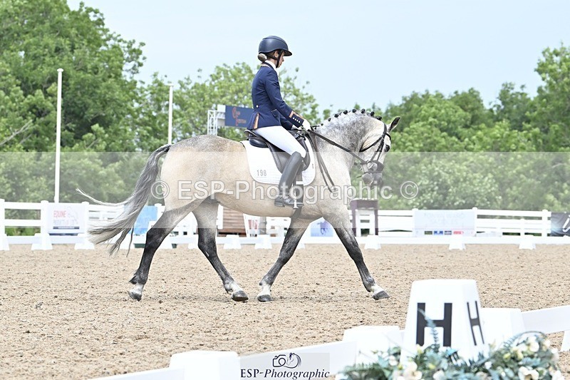 250621-122250-07881 - Cls 27 - Novice 6, 12.20 to End