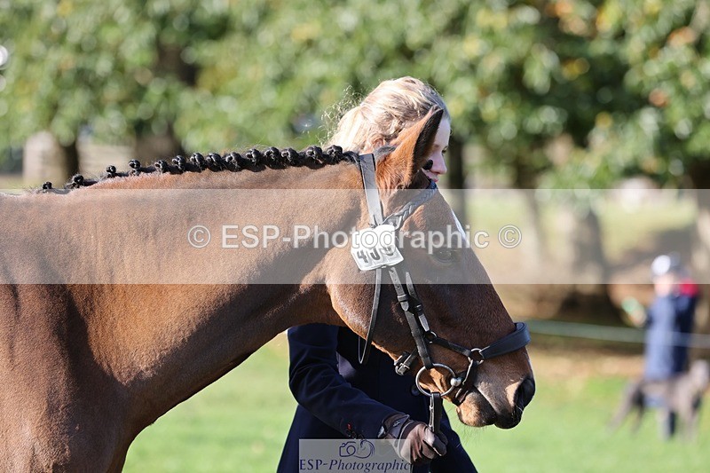 241027-094016-15432 - 450-Erin.Dovey-MONEYHILLS.PAGEANT