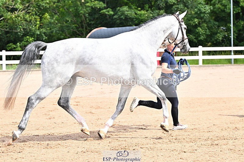 240718A-105236-00908 - Trot Up 11am to 12pm