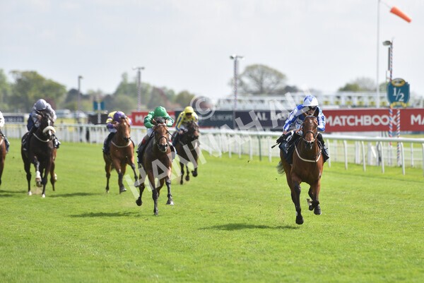yr13052021r5-22 - Race 5 3.40pm British Stallion Studs EBF Westow Stakes