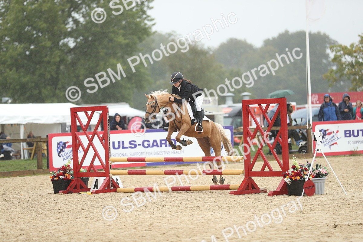 SBM_73925 - J16 - Junior Pony 75cm Championship