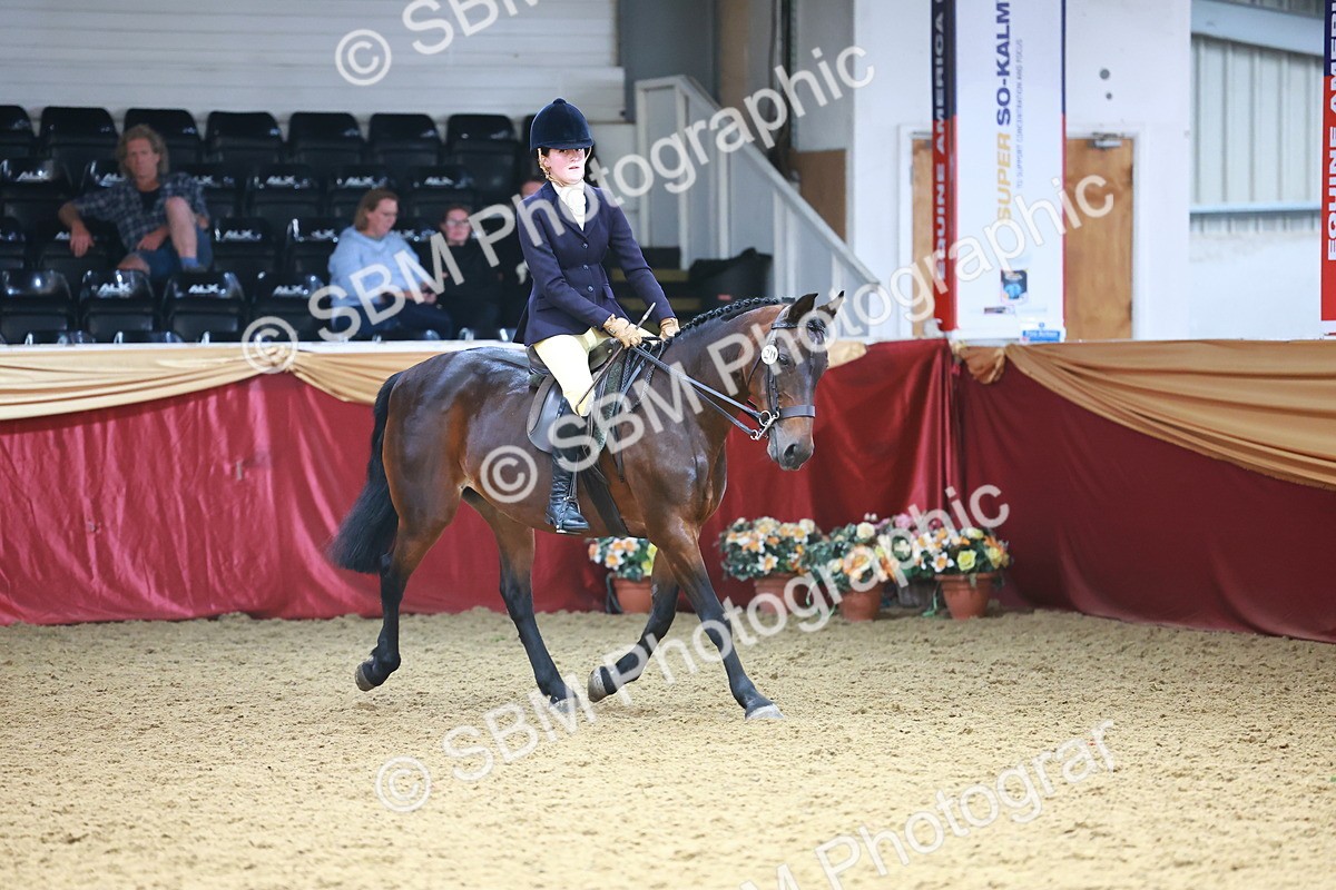 SBM_24027 - Class 905 - Supreme Final - Ridden Veteran