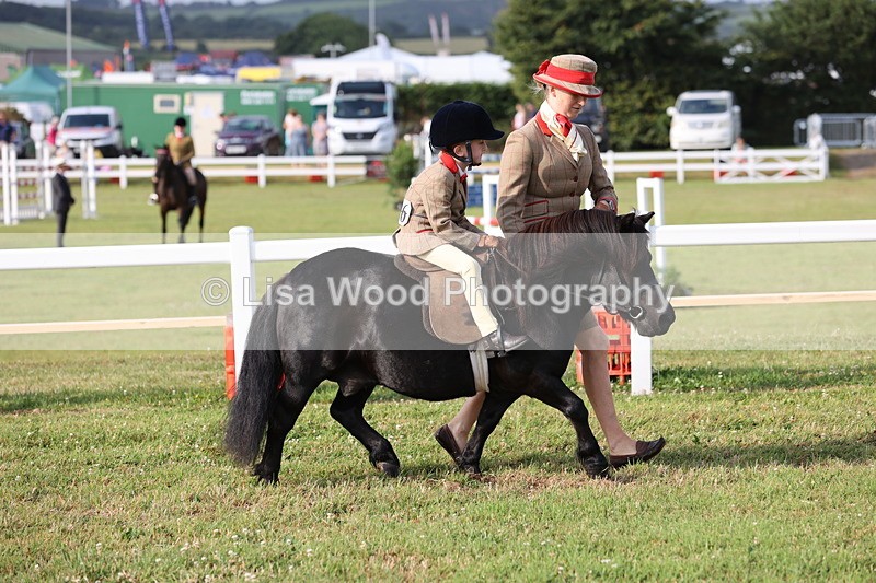 JPP_0299 - Class 14: Cornish Combination Leading Rein