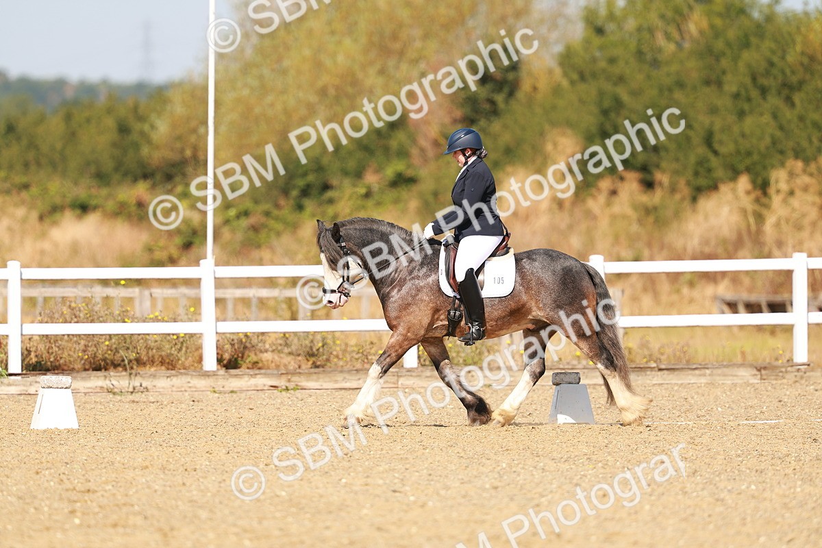 SBM_017788 - Class 9 - N5 Bronze 10.33.11.36