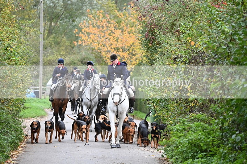 WJ6_8319 - Walk Home..