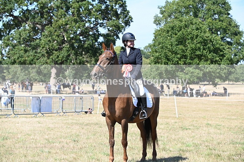 WJ6_9091 - Class 38 Ridden Riding Horse/Pony