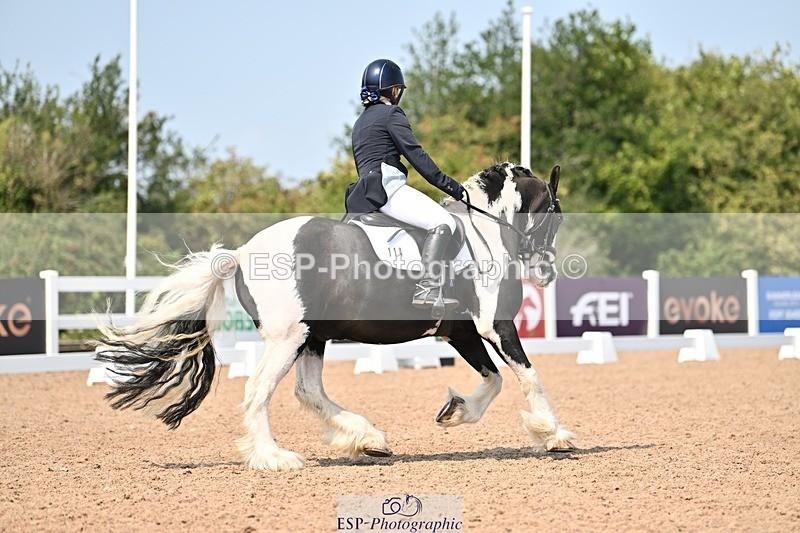 250816-132415-04686 - 114-Stacey.DonnisonPaddy.XIII