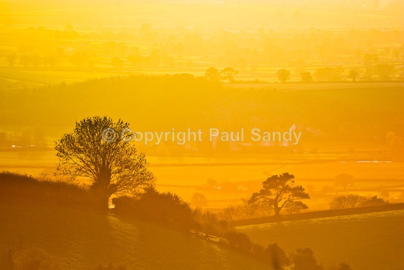 Across the Exe valley from above Silverton - Seeing the Wood AND the Trees