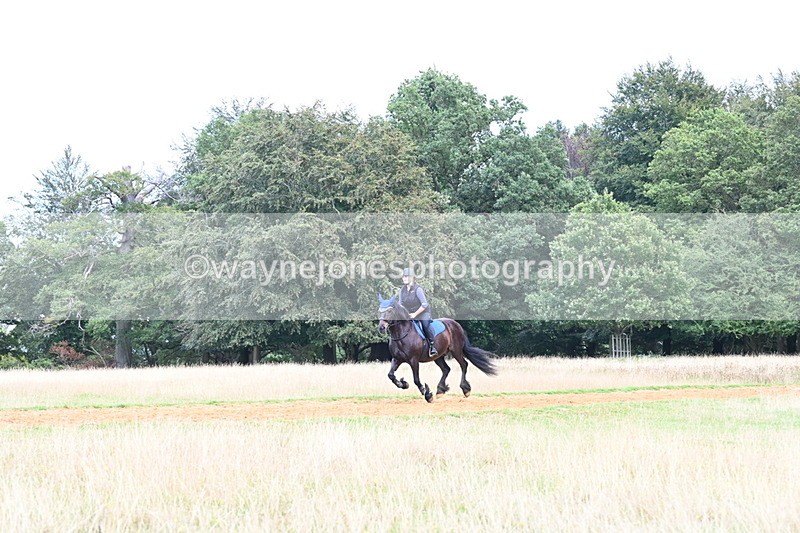 DSC_8709 - Time at Statue 13:52 to 14:33