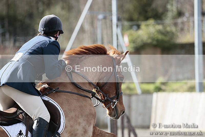 BVRC SJ 170319 118 - Bourne Valley Riding Club Showjumping 17/03/19