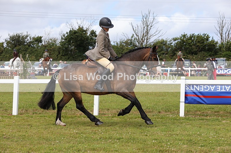 1X9A3985 - Class 32: Show Hunter Pony 153cm and under
