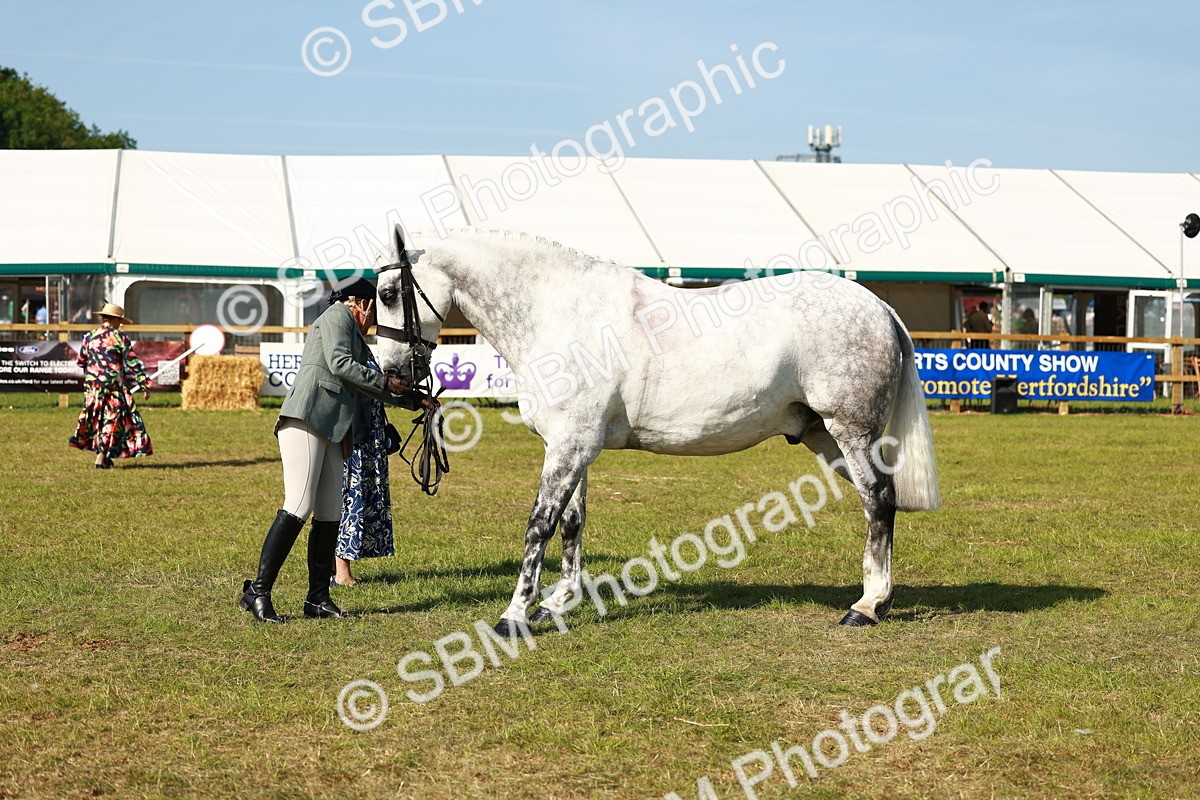SBM_11827 - Class 66-69 - RIHS Ridden Hunters Inc Small Hunter