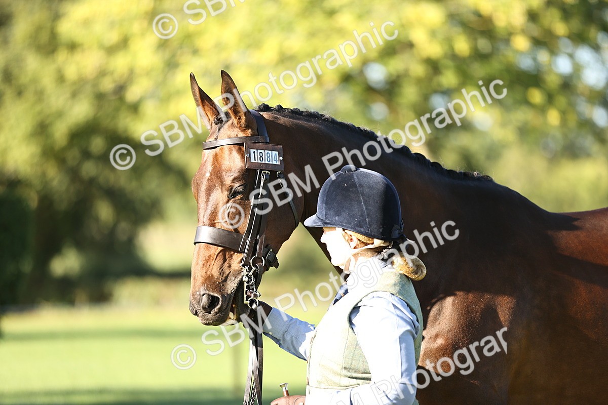 SBM_15674 - S1 - TSR in Hand Horse & Pony Showing