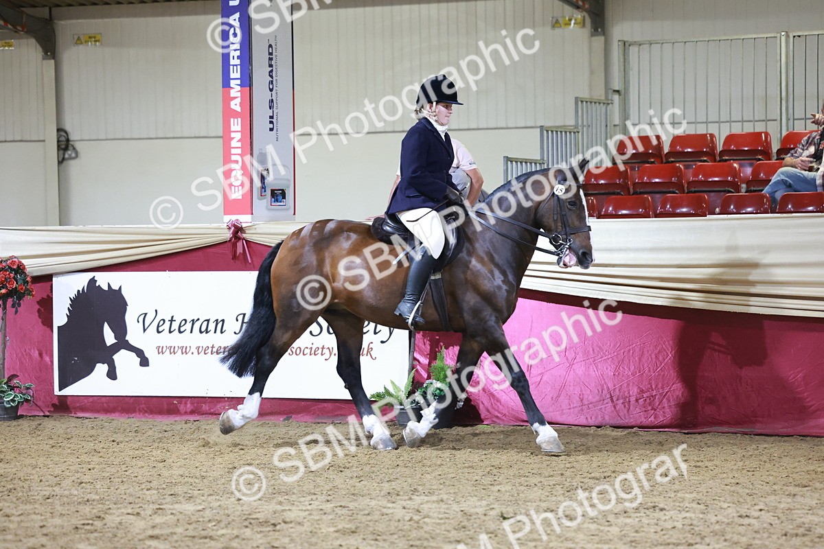 SBM_21147 - class Q - Ridden Horse Champ