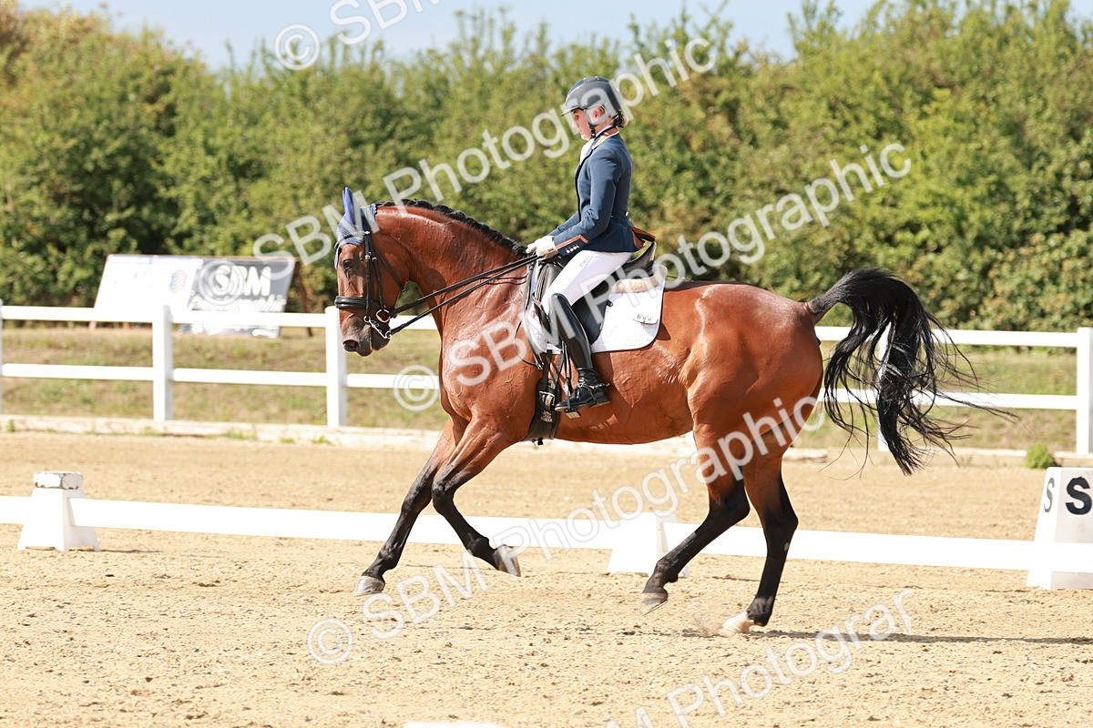 SBM_002516 - Class 11 - Medium 6