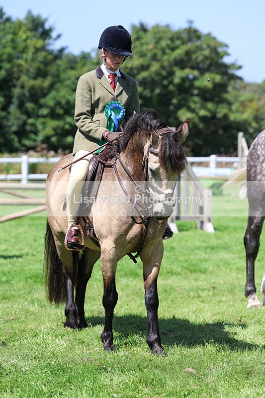 3E7A9275 - Working Hunter Championship