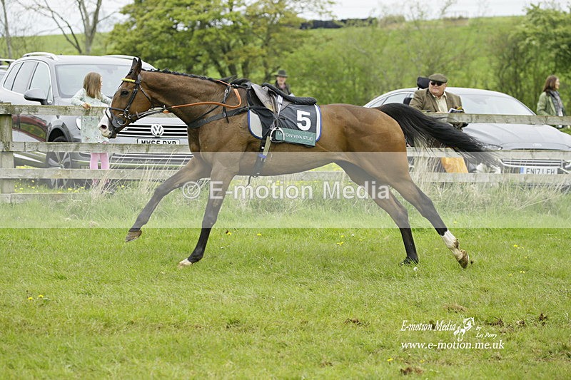 PtP 020522 157 - Mollington Races Point-to-Point 02/05/22