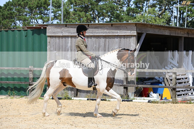 1X9A8855 - Class 19: Riding Club Horse