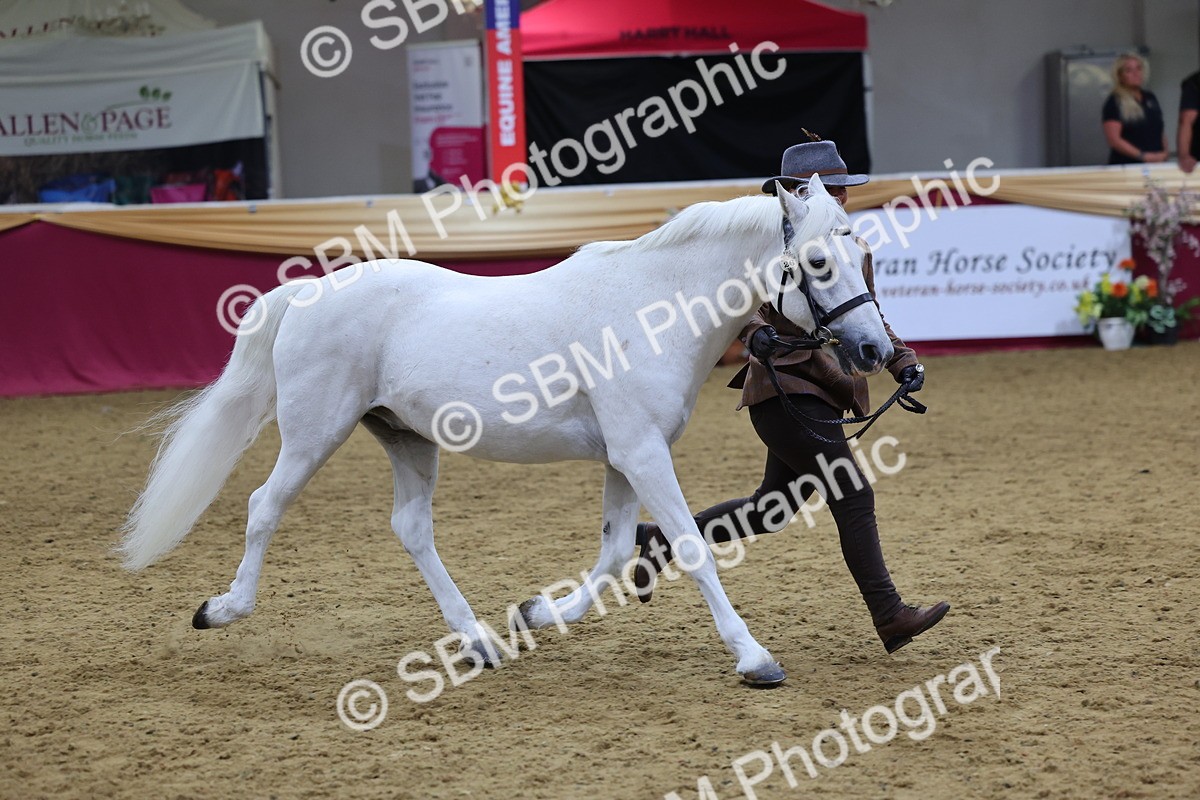 SBM_19532 - Class 901 - Supreme Final - IH Diamond