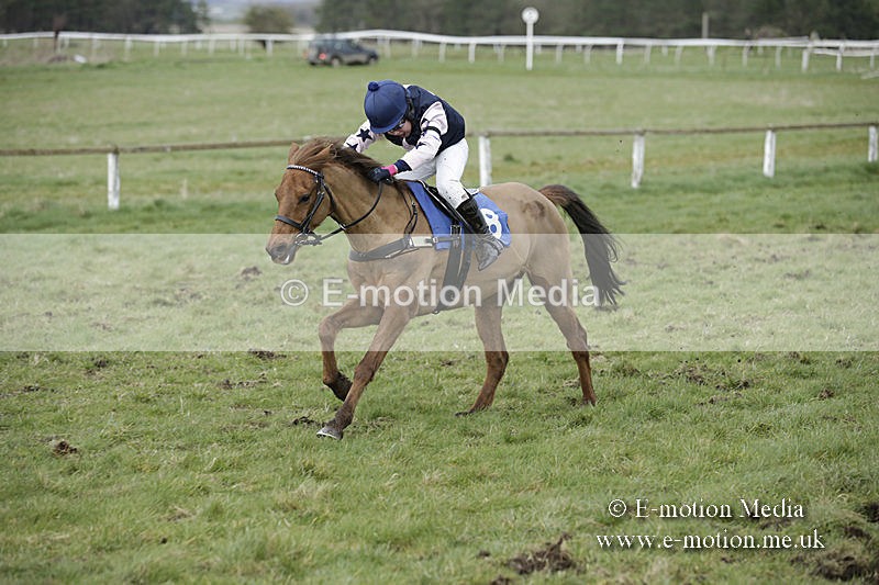 PtP 150320 0783 - New Forest Point-to-Point Larkhill 15/03/20